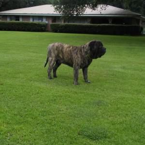 Meet your Posher, Joseph